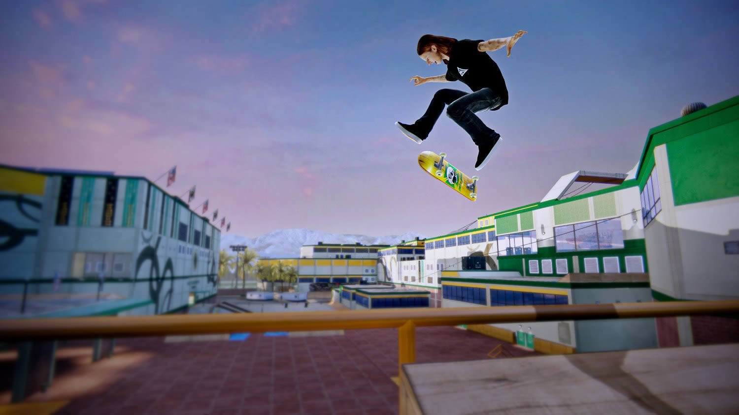 PS3˻5 Tony Hawk's Pro Skater 5