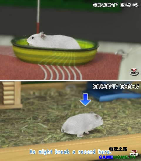 RIP̹+CSOd